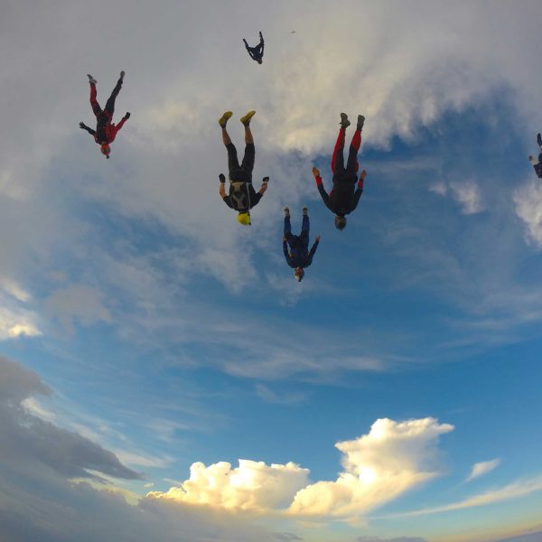 FREE FLY COACHING FREE FLY COACHING