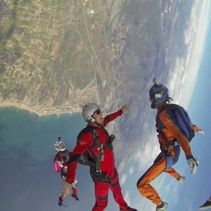 FREE FLY COACHING FREE FLY COACHING
